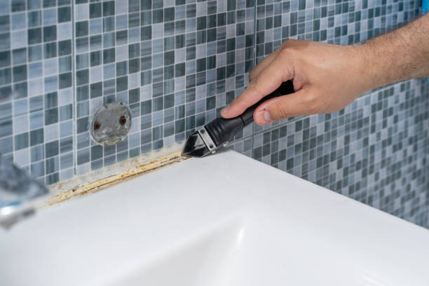 Best HVAC Mold Remediation in Solana Beach, CA